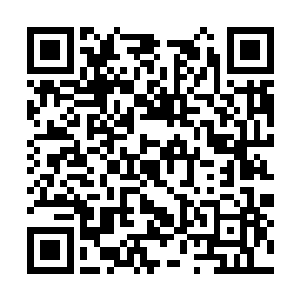 巴里亚和乔治沿着这个堰塞湖周边巡视查找了一番二维码生成