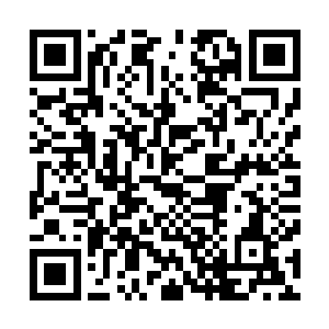 市委书记罗正浩同志与四海集团分公司经理舒畅进行了会谈二维码生成