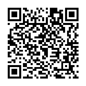 布尔什维克在他们主持的这次选举中只得到四分之一的议席二维码生成