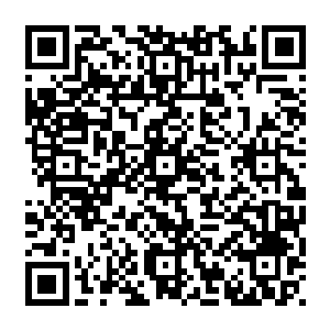 布尔维克刚刚才倒下的身体一下子就像皮球一样的被张铁踹得在地上滚到了两米之外二维码生成