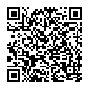 师叔一边踏着禹步还捏着桃木剑朝里面引着阵法借来的气势朝里面指二维码生成