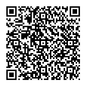 师尊冰圣如今被封印在这其中若毁了这寒晶之祖自己师尊冰圣也将无法再被封印可能元灵之力瞬间消亡化陨落二维码生成