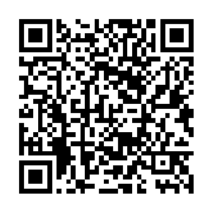 师弟……你刚刚用的那套阵法是不是茅山派的阵法二维码生成