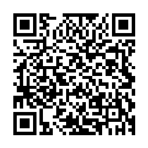 希望你能就我们全县的招商引资工作拿出一个框架性的构想来二维码生成