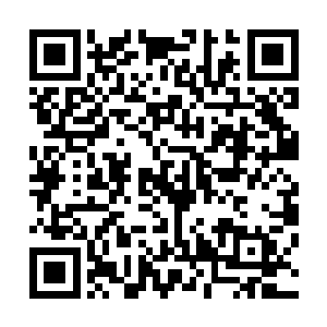 希望您能让您的弟子在三天之内前往守界域内的丹城所在地二维码生成