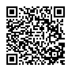 希望我的文能够给战友们在过年期间增添一点儿乐趣铃动求票了二维码生成