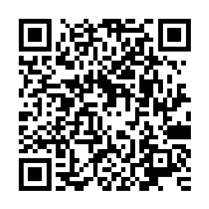 希望有机会姐弟两能好好就互联网领域的发展前景进行一次探讨二维码生成