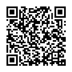 希望轮回殿殿主念及第一代阎君是从轮回道走出的这份香火情二维码生成
