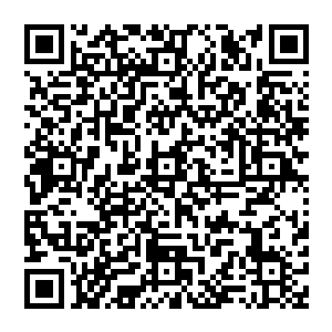 帝国蜀生公司西南发动机制造集团生产的七台850马力的太行多缸内燃发动机为它提供了足够的动力二维码生成