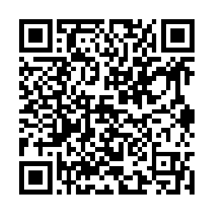 带着一往无前的气势向着几辆散架的马车走了过来二维码生成