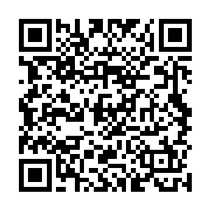 带着一股恐怖的震慑天地的威压迎上了渡玄上人的攻击二维码生成