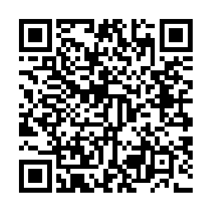 带着冷然气息的人在看到对准大门的监视器开始转动离开二维码生成