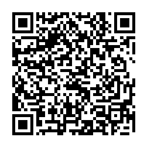 带着几个同样神情慌张的实验助手躲在宿江集团提供的一幢联排别墅里头二维码生成