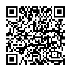带着太多的女眷前去参加五行果大会难免给人张扬的感觉二维码生成