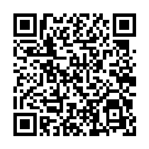 带着浓浓的怨恨之意的瞪着他的机械学院的众人二维码生成