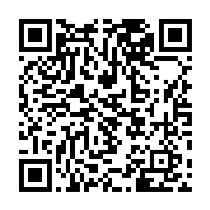 带着箱子来到这里的几名壮汉立刻从怀中将手枪掏了出来二维码生成