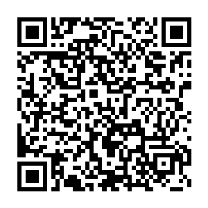 带着这个明显还没完全睡醒的家伙吃完早餐回到寝室里打理完毕后二维码生成