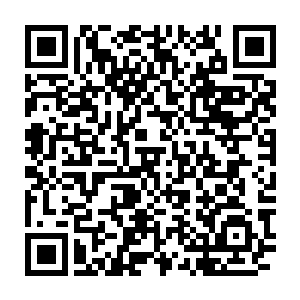 带领着身后四名似乎和他自己有着血缘气息的吸血鬼展开血色蝙蝠羽翼二维码生成