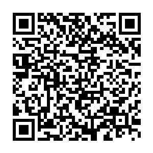 帮忙办理证件打扫卫生接送孩子伺候老人……仅就大客户服务而言二维码生成