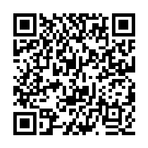 平均每吨价格由十几美元逐渐涨到了二十几美元二维码生成