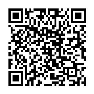 年轻人的朝气和老人身上的迟暮之气是完全不同的二维码生成