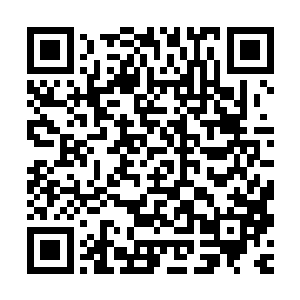 并不仅仅是因为前一刻自信满满的赶尸派男子下一刻就被打脸了二维码生成