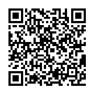 并不会因为其中一个房间有勉强算是激烈的抵抗就延长清理时间二维码生成