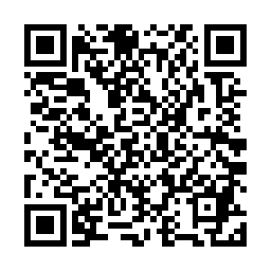 并不是指的眼前黑暗议会还有教廷以及玛雅文明这几位二维码生成