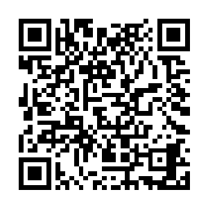 并不是让你浪费时间给我们做这种无聊的自我介绍二维码生成