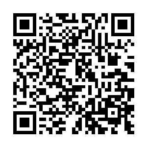 并不能掩盖曼哈顿计划中格罗夫斯和奥本海默的伟大二维码生成