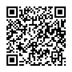并且会将夏耕吸引到侯府已完成·需自行前往领取任务奖励二维码生成