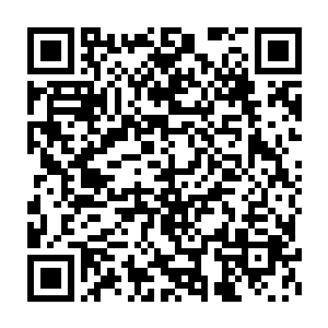 并且伴随着斗牛犬的形象逐渐将荣耀至死即将回归的浪潮推向巅峰二维码生成