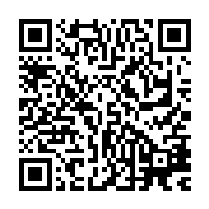 并且十分罕见的当着电视的面否认了神州政府与此次的刺杀有关二维码生成