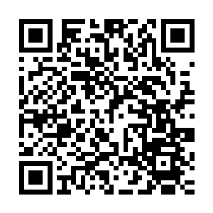 并且同样散发出一阵阵可怕气息的金甲巨人也迈着沉重的步伐二维码生成