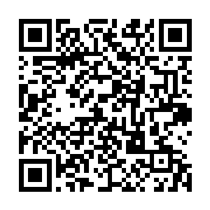 并且在大脑中模拟自己承受这种痛苦后的反应――这样的话二维码生成