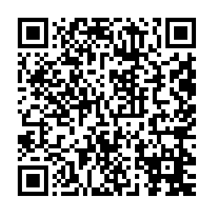 并且散发出浓郁血腥味的血色长袍也骤然绽放出了更加璀璨的血光二维码生成
