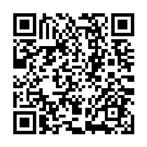并且躲在一边旁听了这个教授数字和名字的短暂的早课二维码生成