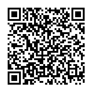 并在一阵沉闷的撕裂声中在这夸父的胸膛上撕扯出了两道深深的爪痕二维码生成