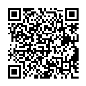 并没有上过这个在许多普通玩家看来非常权威的国服第一系列二维码生成