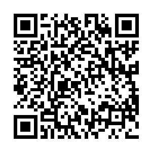 并没有什么大碍……但那一幕在当时真的吓住了不少人二维码生成