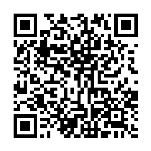 并没有因为敖月月只说自己要跟着流墨墨去玩而表露出什么二维码生成