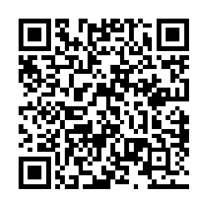 并灭杀亚木族夺取亚木城的想法在很久以前就已经存在了二维码生成