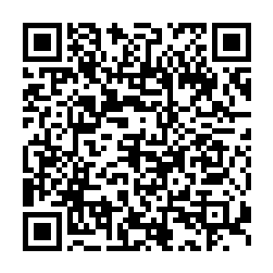 并用大头钉将那只青蛙的尸体以腹部朝上的状态固定在了石蜡表面二维码生成