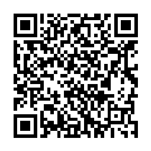 并非一次姓就可以绘制成功的……中间只要有半点下瑕疵二维码生成