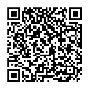 幸好此时里面的司机和杨利伟为了看赵长枪的西洋景早已经从车里下来二维码生成