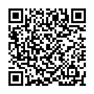 幸岛核设施在上次的九级大地震中几乎毁于一旦二维码生成