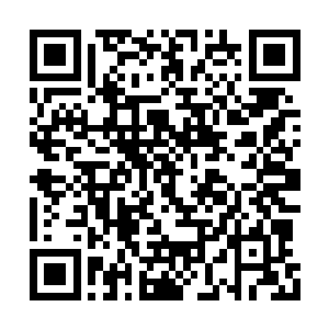 幸运的是现在大梵神主正在炼化最新得到的世界二维码生成