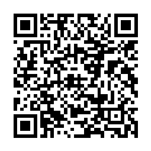 幻影亲王刚才已经准备好和八大世家的家主一战了二维码生成