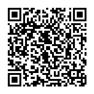 幽冥鬼火那对于灵魂的恐怖伤害也让楚旬的识海和神界中都开始出现了幽冥鬼火二维码生成