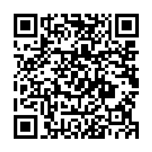 幽鬼要是知道华夏九用了三天时间便将信息梳理阅读完毕二维码生成